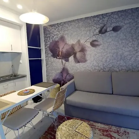 San Francisco 10 - 6 Boutique En El Centro - Playa Postiguet